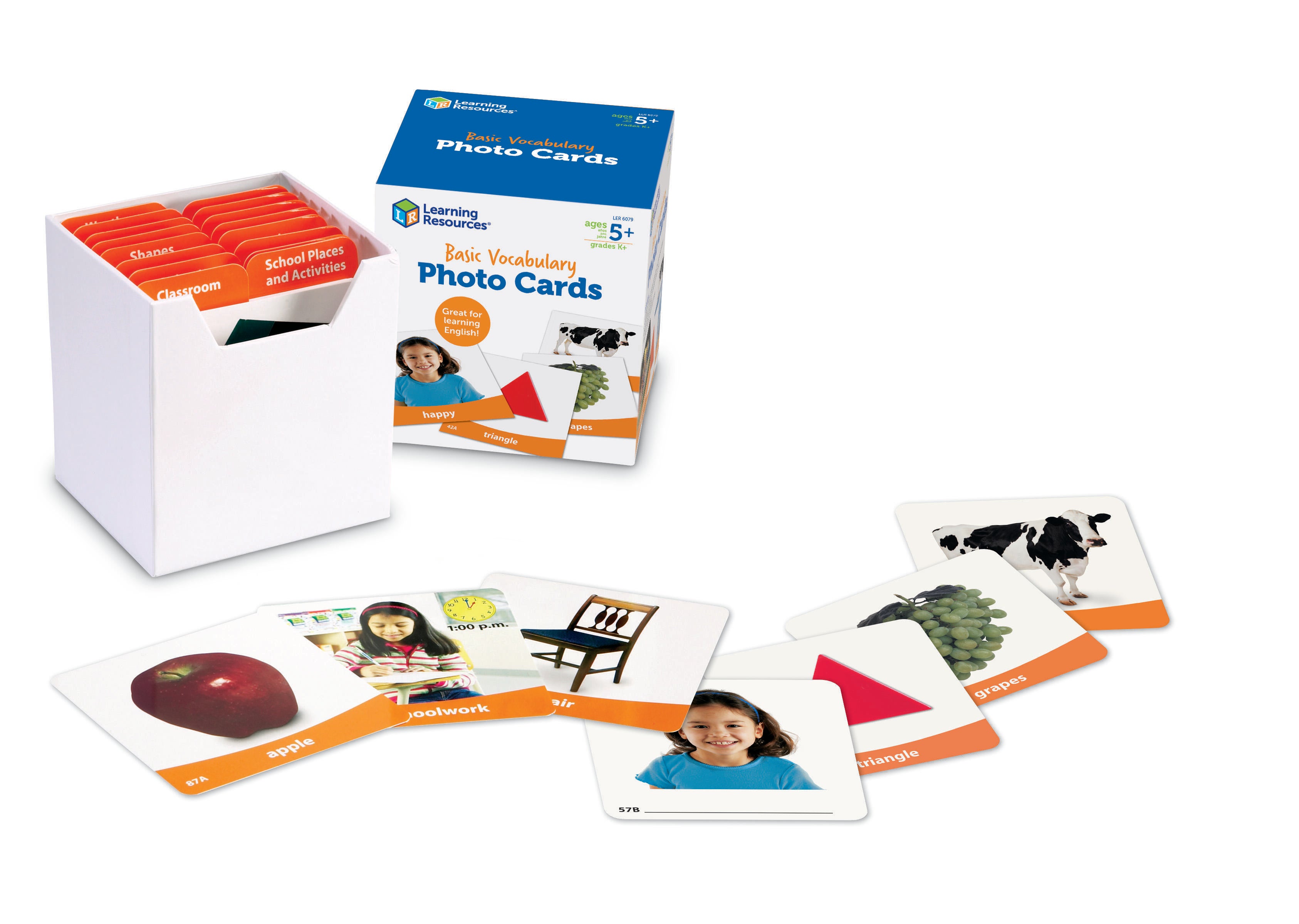 088525-20250204_B_JPG Output.